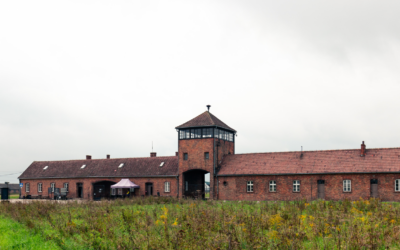 75e anniversaire de la libération du camp d’Auschwitz